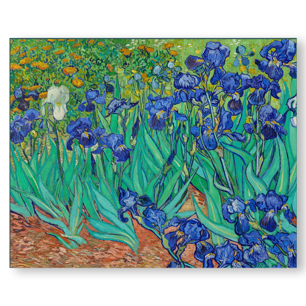 van Gogh's Irises